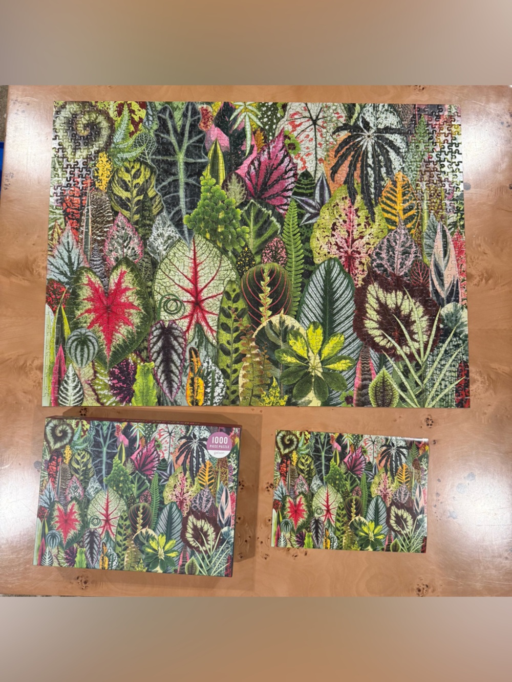 Botanical Leaf 1000-Piece Puzzle - Picture 2 of 5